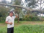 20240113-Nurhulis-warga-Bangka-Barat-menunjukkan-beragam-jenis-durian-di-kebunnya.jpg