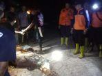 20240117-Warga-dan-personel-BPBD-Belitung-Timur-mengevakuasi-buaya-yang-ditemukan-di-Kolong-Nek-Tini.jpg