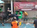 6 Hewan Kurban Disembelih di Lapas Pangkalpinang, Didistribusikan Merata ke Warga Binaan