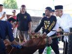 Polda Babel Kurban 37 Sapi dan 18 Kambing Saat Momen Hari Raya Idul Adha 1446 Hijriah