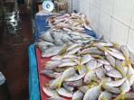 20250924-Harga-Ikan-di-Pasar-Mentok.jpg