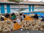 Kupas-jagung-kering-nee.jpg