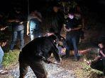 Fakta Pembunuhan Wanita Pekerja Kedai di Toboali, Pelaku Jerat Leher Korban Lalu Dibakar di Hutan