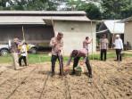 Penanaman-jagung-di-Desa-Mayang.jpg