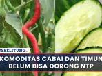 cabai-dan-timun-ntp.jpg
