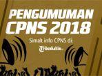 cpns-2018.jpg
