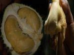 Durian Lokal yang Harganya Capai Rp 800 RIbu, Rasanya Istimewa, Tebel Banget