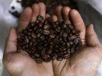 ilustrasi-biji-kopi.jpg