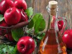 ilustrasi-cuka-apel-1.jpg