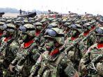 ilustrasi-militer-indonesia-12.jpg