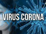 ilustrasi-virus-coronacovid-19.jpg