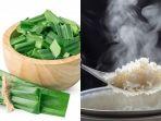 khasiat-memasukkan-daun-pandan-ketika-sedang-memasak-nasi.jpg