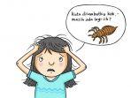 kutu-rambut.jpg