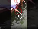 mancing-pakai-tangan_20160927_202717.jpg