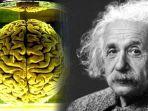 otak-albert-einstein.jpg
