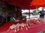 pedagang-ayam-di-pasar-induk-pangkalpinang.jpg