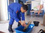 penemuan-amunisi-oleh-nelayan-muntok-kabupaten-bangka-barat_20180928_101317.jpg