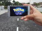 pokemon-go_20160719_221801.jpg