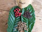 produksi-kopi-belitung-timur.jpg