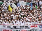 ribuan-ormas-islam_20161014_230316.jpg