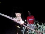 tarsius_20180821_225254.jpg