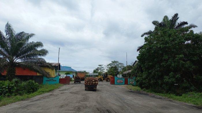 Turun Lagi, Harga TBS Sawit di Bengkulu Selatan Tertinggi di Petani Rp 1.400 per Kilogram