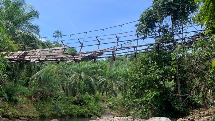 Beginilah kondisi jembatan Desa Simpang Kecamatan Seluma Utara saat ini, makin parah dan sudah tidak dapat dilalui lagi