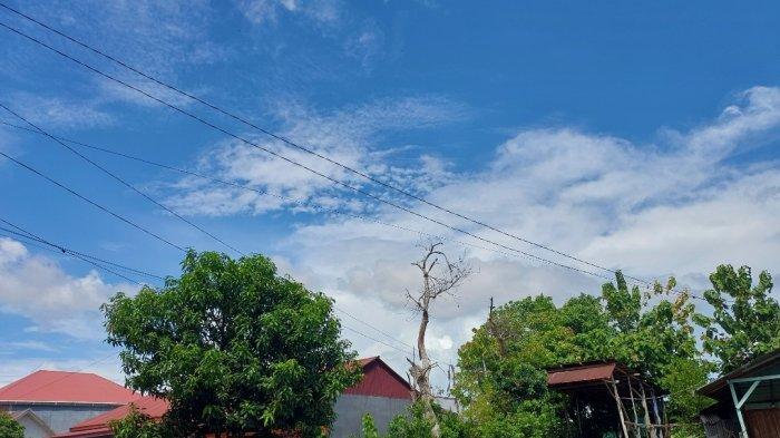 Prakiraan Cuaca di Wilayah Bengkulu 22 Hingga 24 Juni 2025, Ada Potensi  Hujan Lebat - Tribunbengkulu.com