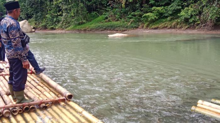 BUTUH BTS INTERNET: Objek wisata Ikan Larangan di Desa Taba Lubuk Puding Jum'at 5 Desember 2025. Objek wisata ini membutuhkan BTS internet karena masih blankspot sehingga di keluhkan pengunjung