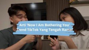 Arti-Now-Iam-Bothering-You-Trend-Viral-TikTok.jpg