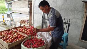 Cabai-merah-di-Kepahiang-Bengkulu.jpg