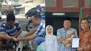 Dinas-Pertanian-Vaksin-rabies-hewan.jpg
