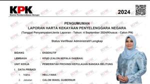 Harta-Kekayaan-Wakil-Gubernur-Bangka-Belitung-Hellyana-Kini-Jadi-Tersangka-Penipuan.jpg