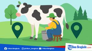 Ilustrasi-peternak-memerah-susu-sapi-segar.jpg