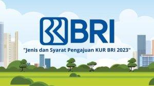 Jenis-dan-Syarat-Mengajukan-KUR-BRI-2023-Beserta-Manfaatnya.jpg