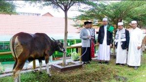 Jumlah-hewan-kurban-2024.jpg