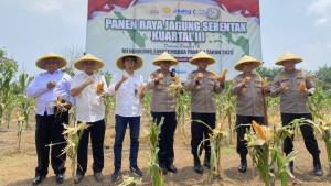 Kapolda-Bengkulu-Pimpin-Panen-Raya-10-Ton-Jagung-Serentak-di-Bengkulu-Tengah.jpg