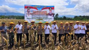 Kapolda-Bengkulu-dan-Bupati-Kepahiang-panen-raya.jpg