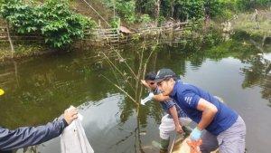 Pelajar-smp-meninggal.jpg