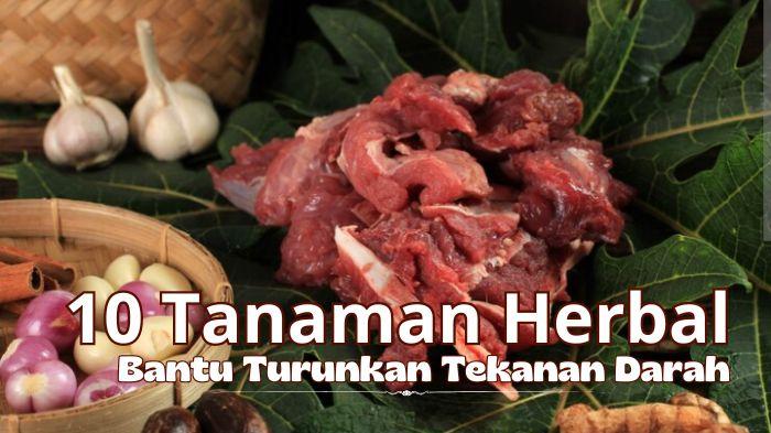 10-Tanaman-Herbal-Untuk-Bantu-Turunkan-Tekanan-Darah-Bikin-Tenang-Menyantap-Sajian-Idul-Adha.jpg