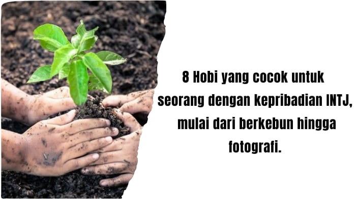 8-Hobi-yang-Cocok-Untuk-Seorang-dengan-Kepribadian-INTJ-Mulai-dari-Berkebun-Hingga-Fotografi.jpg