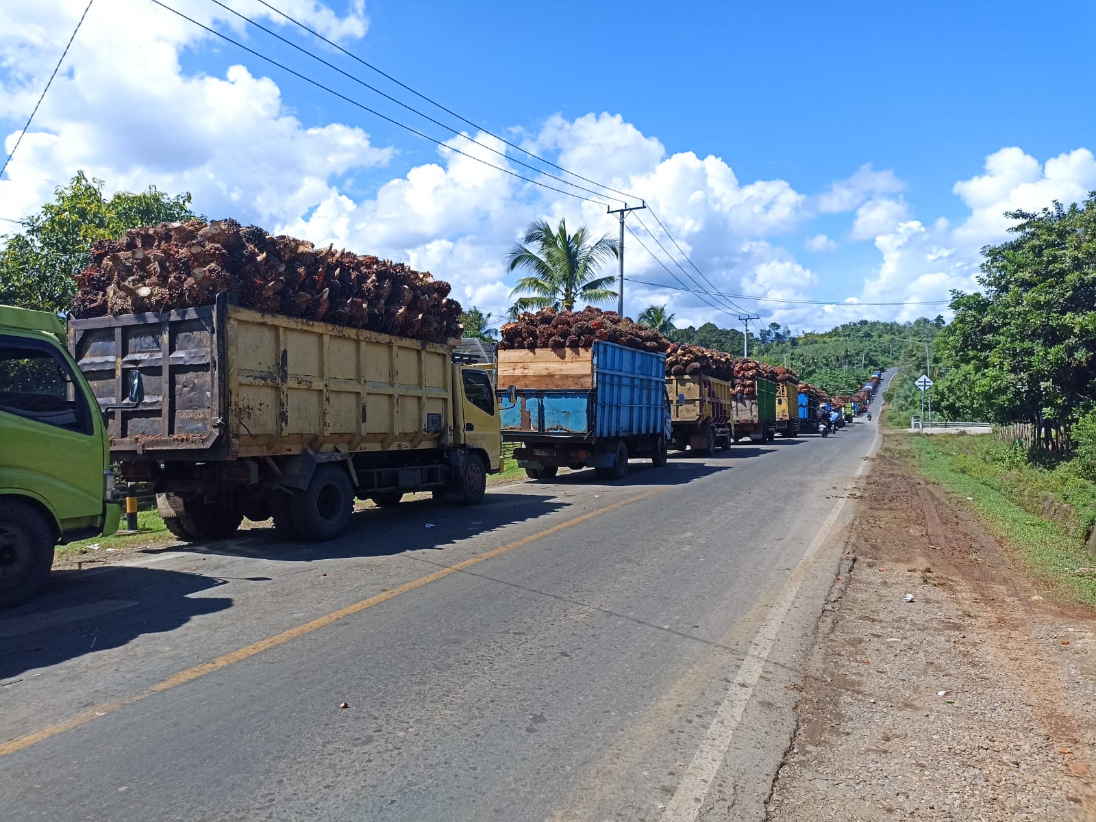 Meski Pabrik Tutup, Antrean Mobil Truk Pengangkut TBS Sawit di Bengkulu Tengah Masih Mengular