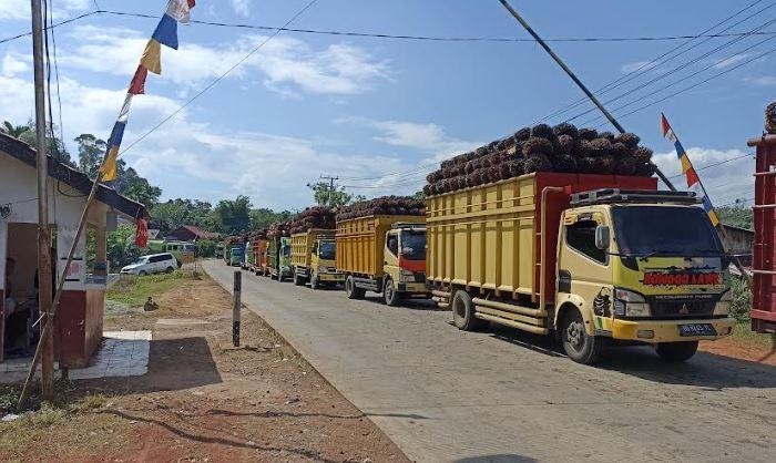 Antrean-truk-pengangkut-TBS-sawit-di-PT-Palma-Mas-Sejati-mengular-Sabtu-2082022.jpg