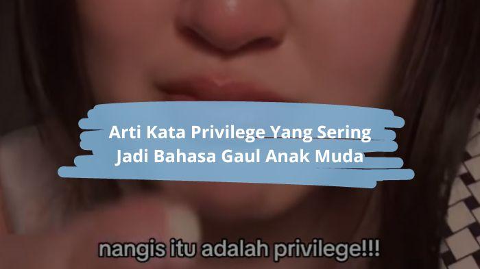 Arti-Kata-Privilege-Dalam-Bahasa-Gaul.jpg