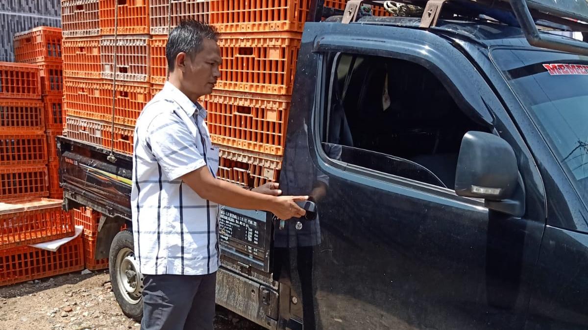 Harga Daging Ayam Potong di Rejang Lebong Naik Rp 5.000 per kilogram Jelang Nataru