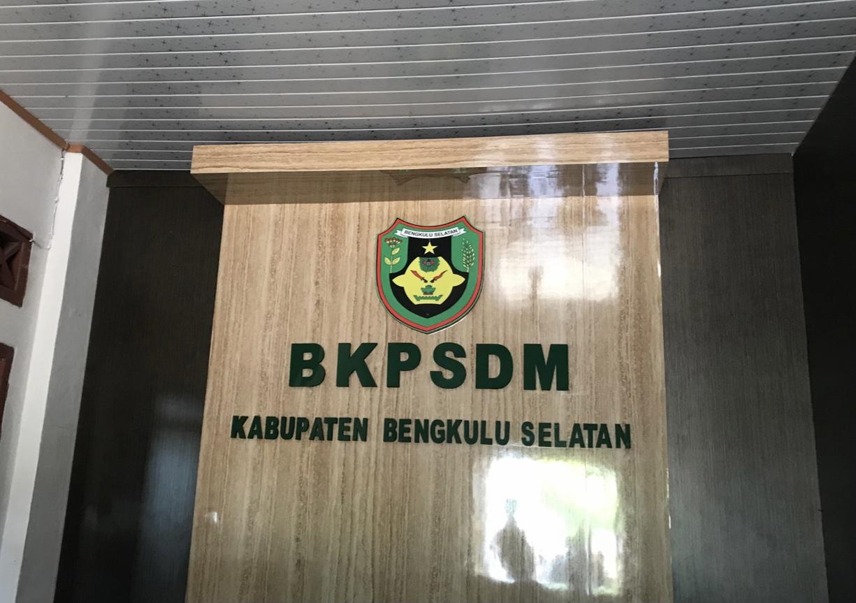 Usulan PPPK 2024 Pemkab Bengkulu Selatan Telah Disetujui, Calon Pendaftar Bisa Siapkan Berkas