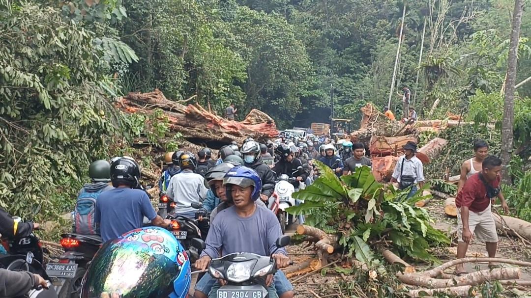 Batang-pohon-raksasa-yang-melintang-hingga-membuat-jalan-Kepahiang-Bengkulu.jpg