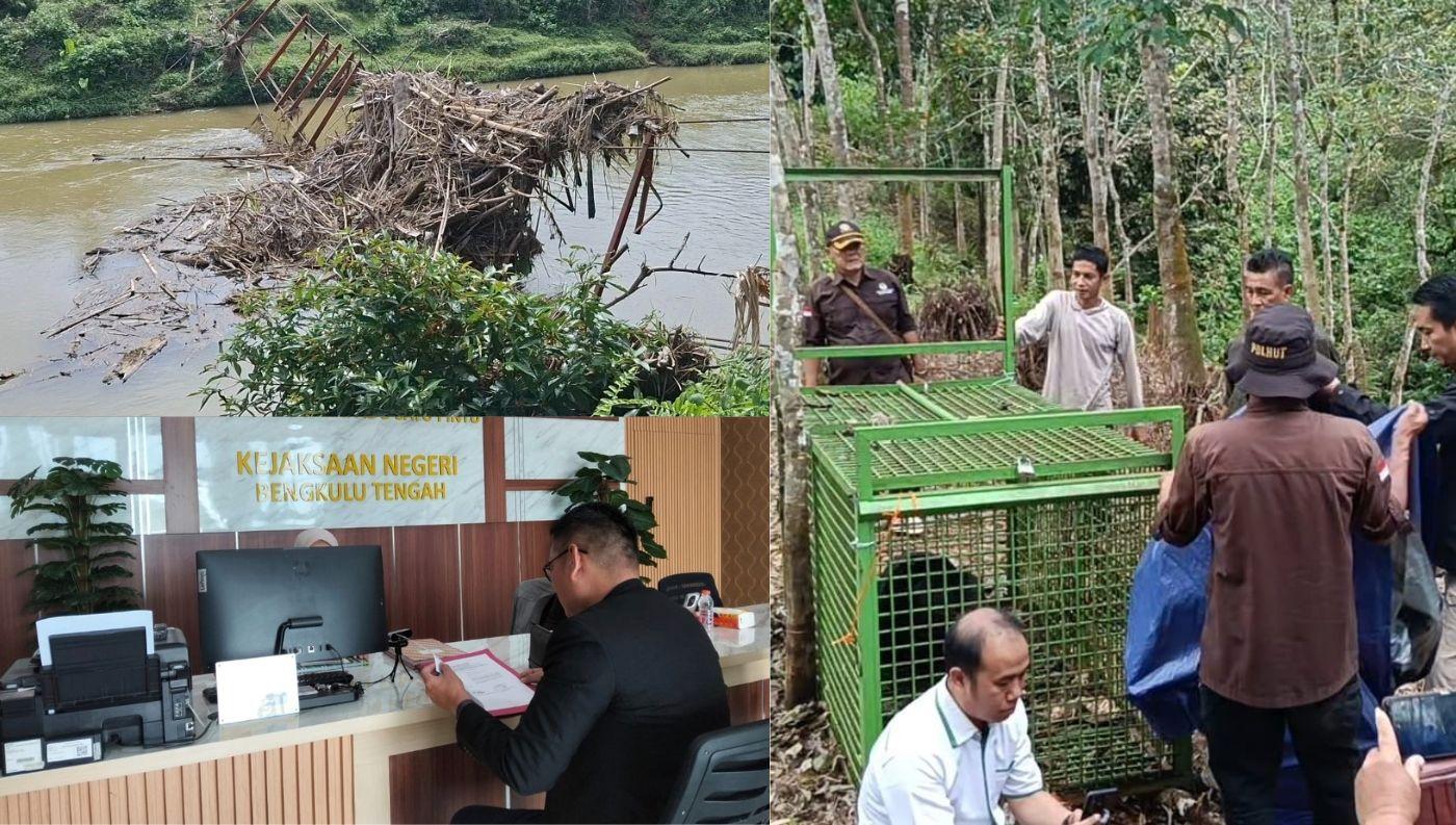 Berita-Populer-Bengkulu-Tengah-27-Oktober-1-November-2025-Penangkapan-Beruang.jpg