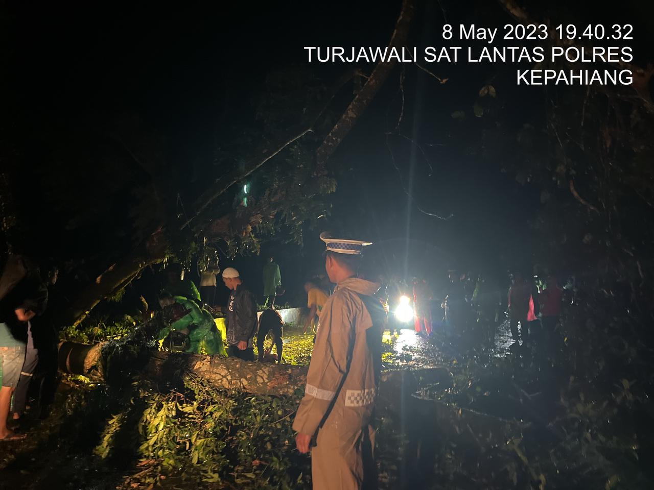 Pohon Tumbang di Liku 9 Kepahiang, Arus Lalin Padat Hingga 3 Jam