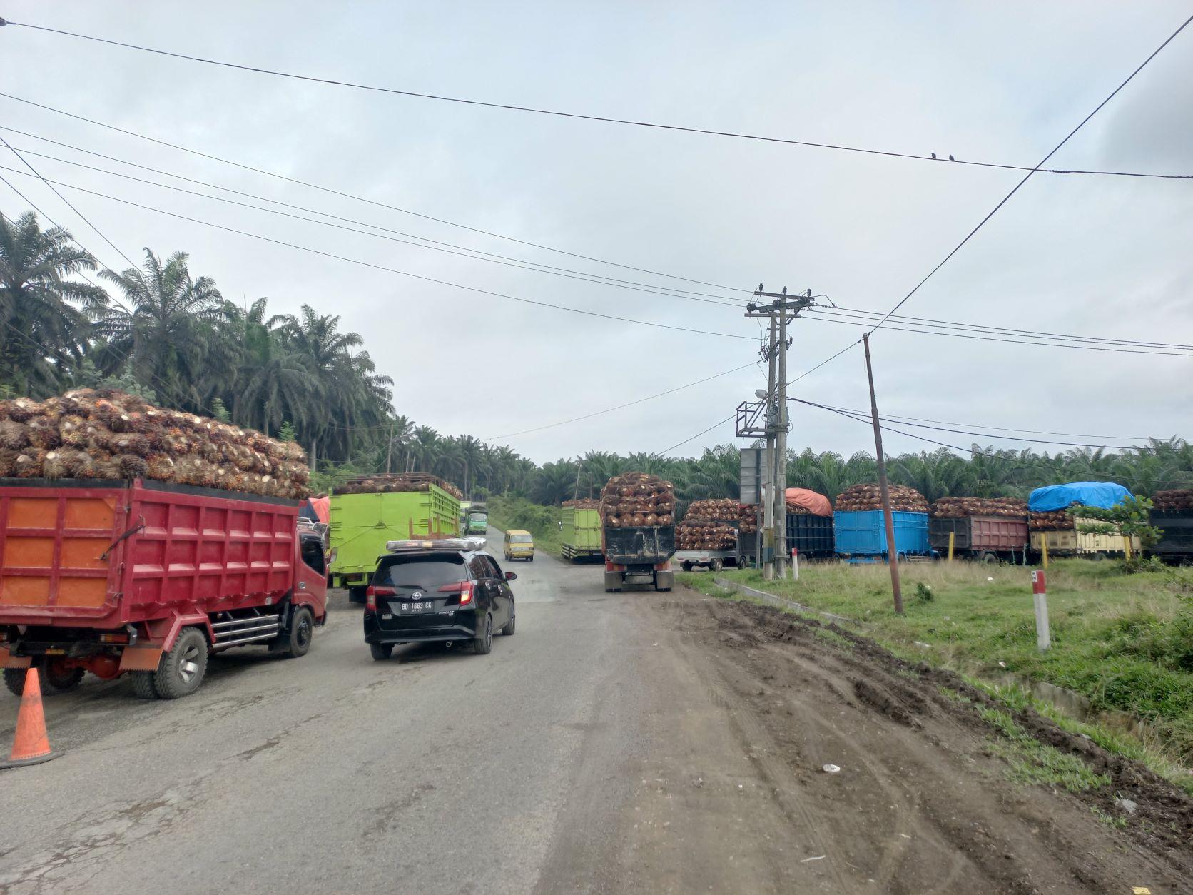 Masih Alasan Klasik, Pabrik di Bengkulu Selatan dan Kaur Beli Sawit Murah karena Tangki Timbun Penuh